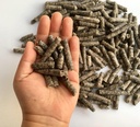 Smart Beet Pellets til fôring - Hest, Pony, Goat, Kødfeed - God for hjernens helse og naturlig søtning (12 ovner)