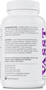 BELDT Labs VASST Nitric Oxid Booster, N.O. Supplement med over 3000 mg Arginine-AKG, OKG, GKG og L-Arginine HCL for muskelbygging og forbedret vaskularitet - 90 tabletter