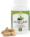 Olive Leaf Extract - 500 mg - Supplement Standardisert til 25% Oleuropein - 20% Hydroxytyrosol - 40% Polyfenoler - Ikke-GMO + Glutenfri + Dairy Free + Soya Gratis + Vegansk (30 kapsler)