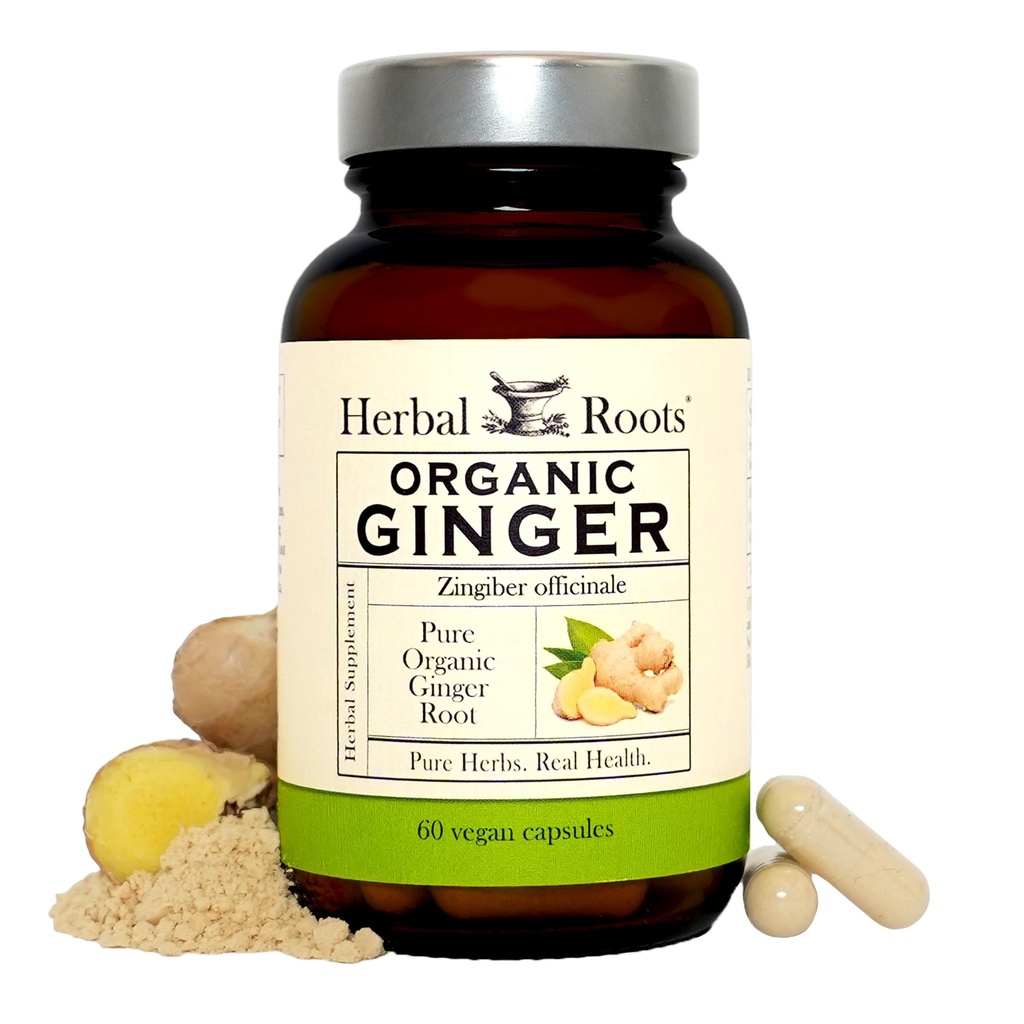 Herbal Roots Ginger Supplement | Organic Ginger Root Kapsler | 1200 mg ren Ginger pulver per servering | 60 Vegansk Kapsler