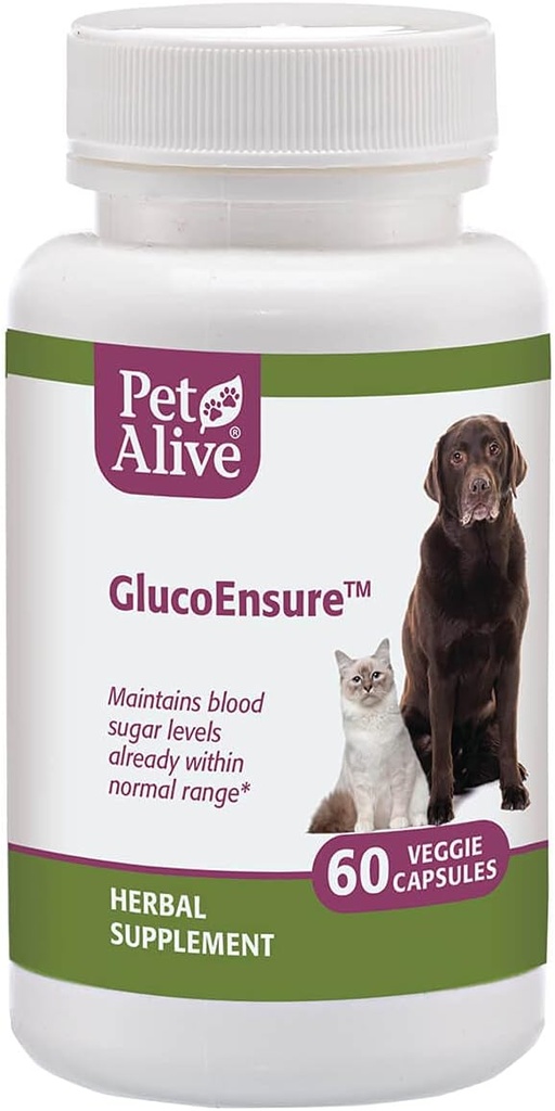 PetAlive GlucoEnsure - Alt Naturlig Herbal Supplement for å opprettholde blodsugar (Glukose) nivåer allerede i normal rekkevidde i kjæledyr