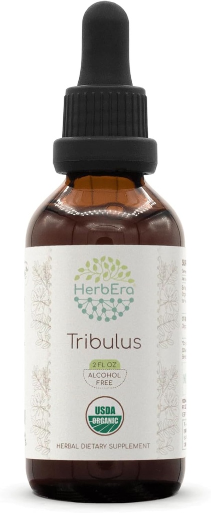 HerbEra Tribulus B60 alkoholfri urteekstrakt Tinktur, konsentrert flytende dråper naturlig USDA organisk tribulus (tribulus terrestris) tørket frukt (2 fl oz)