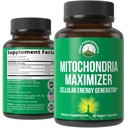 Mitochondria maximer med coQ10 og aktiv PQQ. Best Mitochondrial støtte Supplement med MCT olje. Naturlig Cellular Generator for ren, fokusert energi 60 vegetariske kapsler
