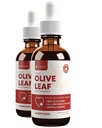 Rejuvica Active Olive Leaf Extract | Selvfølgelig forekommende Oleuropein flytende dråper for immun- og hjertestøtte | Fastabsorpsjon, Vegan, alkoholfri | 4 fl oz