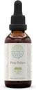 HerbEra Pine Pollen B60 alkohol gratis urteekstrakt tinktur, konsentrert flytende dråper naturlig (Song Hua Fen, Scots Pine, Pinus Sylvestris) 2 fl oz