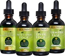 Go Nutrienter Digestion & Detox Bundle - Flytende klorofyll, Liver Edge, Intestinal Edge, Turmeric Ease - støtter rengjøring, Digestion, Liver Helse og Kroppsforsvar, Revitalize Hud & Vitality