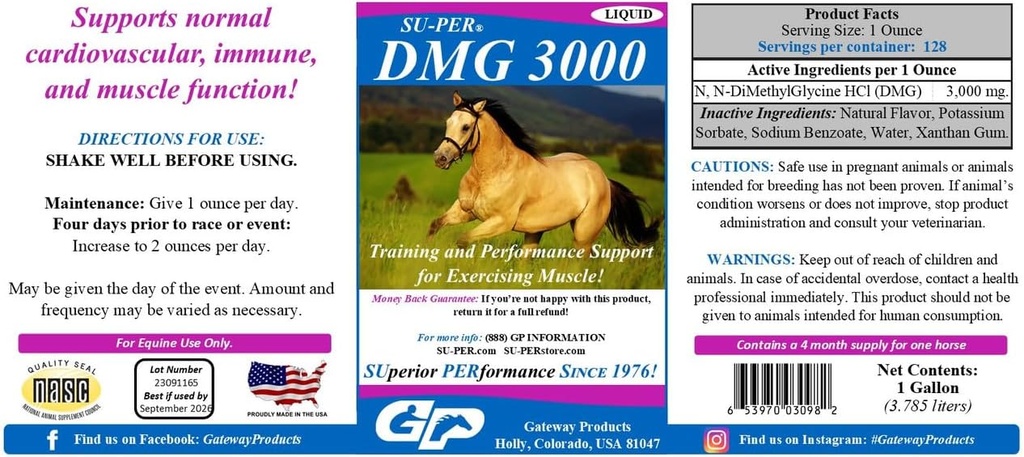 SU-PER DMG 3000 Horse Supplement - Trening og ytelse støtte væske - støtter normal kardiovaskulær immun- og muskelfunksjon - 1 Gallon, 4 måneders forsyning