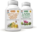 ANDREW LESSMAN PC Lever og hjerne fordeler + Liver Anti-Oksydant ekstrakter Kit: 300 kapsler (180 + 120) - Fosfatidylkolin, Melke Thistle, Artichoke, Curcumin.