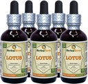 Lotus, Xi Xin (Nelumbo Nucifera) Tørket stem flytende ekstrakt (Brand Navn: HerbalTerra, stolt laget i USA) 5x2 oz