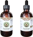 Hvit Pine alkohol-fri flytende ekstrakt, Hvit Pine (Pinus Strobus) tørket Bark Glyceritt Naturlig Herbal Supplement, Hawaii Pharm, USA 2x4 fl.oz