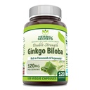Herbal Secrets Ginkgo Biloba dobbel styrke Supplement | 120 Mg | 120 Veggie kapsler | Ikke-GMO | Glutenfri | Laget i USA