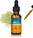 Herb Pharm Khella Liquid Extract for luftveisstøtte - 1 Ounce (DKHELL01)