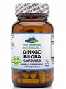 Ginkgo Biloba Capsules – Kosher Vegansk Caps med 400 mg Ginkgo Biloba Leaf og Ginko Extract Supplement