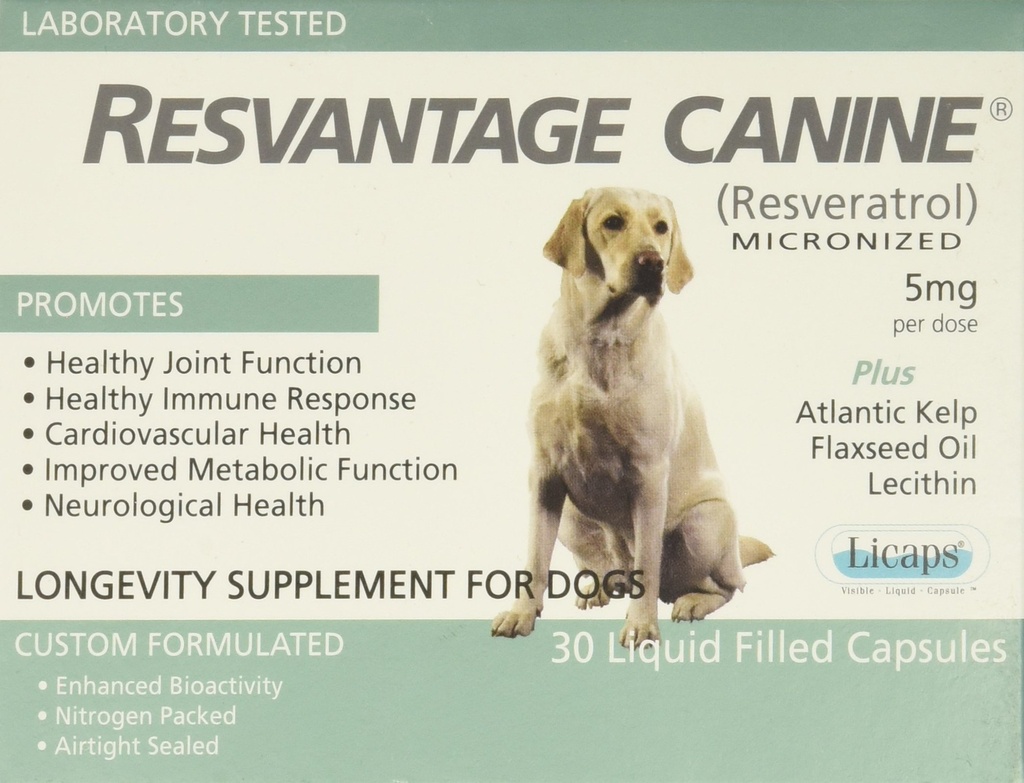 Fordeler Canine