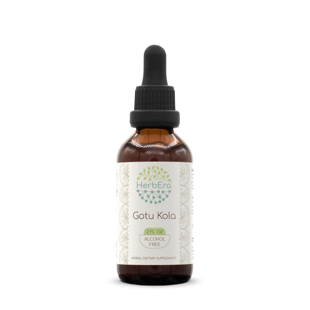 Gotu Kola B60 Tinktur alkohol-fri urteekstrakt, konsentrert flytende dråper Naturlig Gotu Kola (Centella Asiatica) 2 fl oz