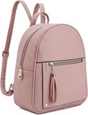 Montana West Jenter Backpack Purse Gaver for barn Anti Theft ryggsekk med sikret glidelås & Tassel