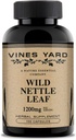 Wild Nettle Leaf Capsules | Støtter sunn flytende balanse og urinveier Tract problemer | 100% naturlig organisk urte Supplement 1200 mg | 100 Pack
