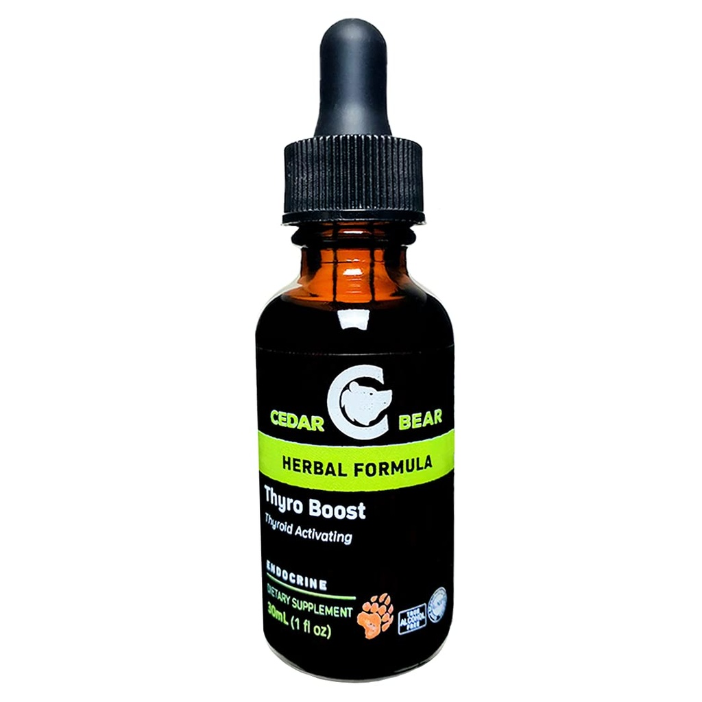 Cedar Bear Thyro Øk et flytende Herbal Supplement som bidrar til å aktivere og bygge Thyroid funksjon og strukturell integritet 1 Fl Oz