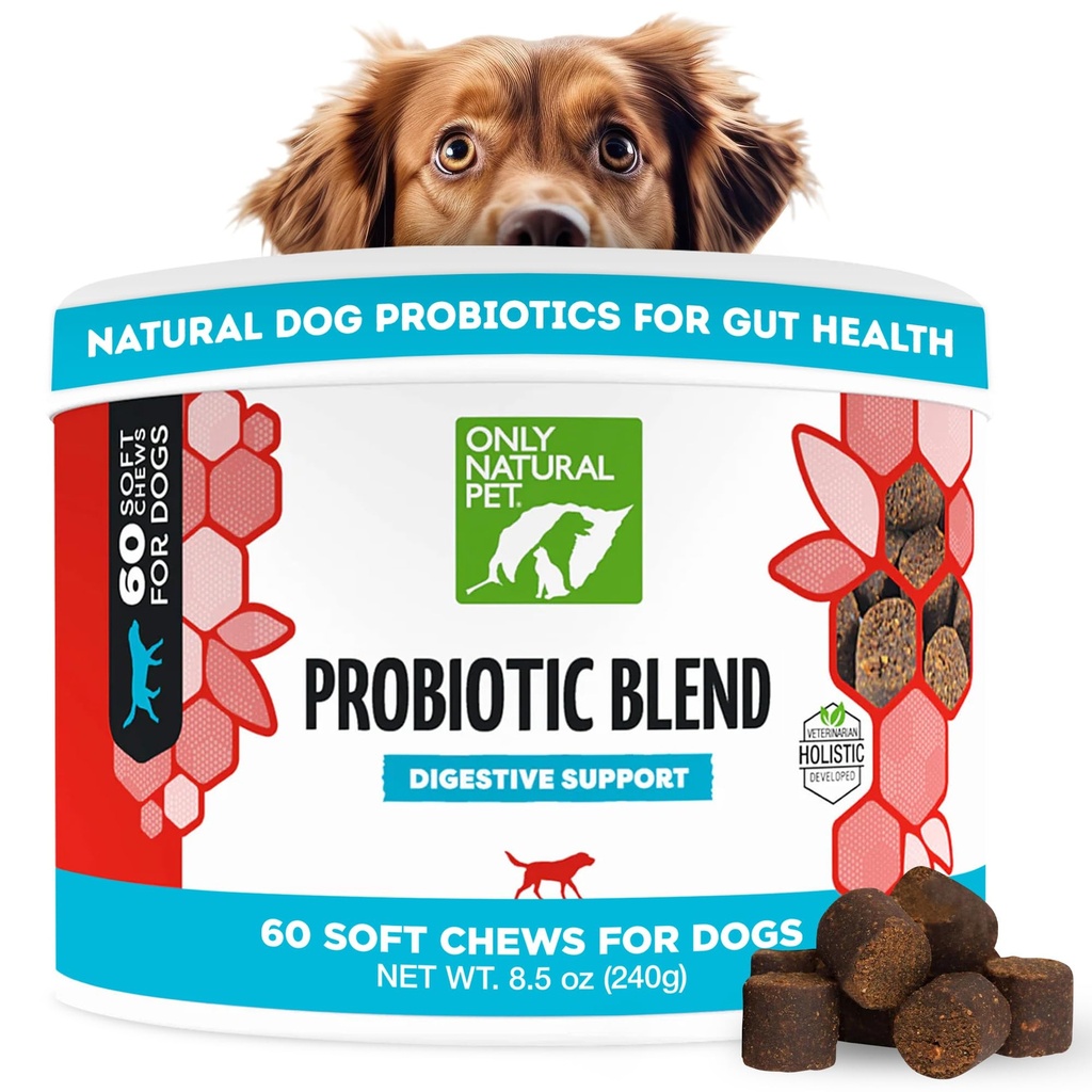Bare naturlige dyr probiotiske hund og katt Supplement - Digestiv & Gut helse Enzyme Formel, Puppy & Canine Digestive Chews, Best for mage Relief & Gass Aid - Mykt Chews, 60 greve.