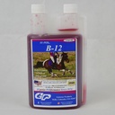 SU-PER B-12 Energy Horse Supplement - Equine vitaminer B-12 & B-9 Folinsyre støtte væske - rødt blodcelle produksjon og utholdenhet støtte for topp ytelse - Quart, (2 pakke)
