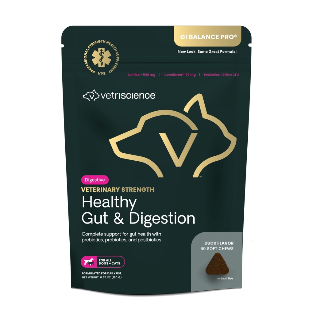 Veterinær styrke Sunn Gut & Digestion - Kjæledyr Digestive Helse Supplement for katter & hunder - Gut Helse og immun støtte - Funksjoner Probiotika, Prebiotika og postbiotika - 60 Tel