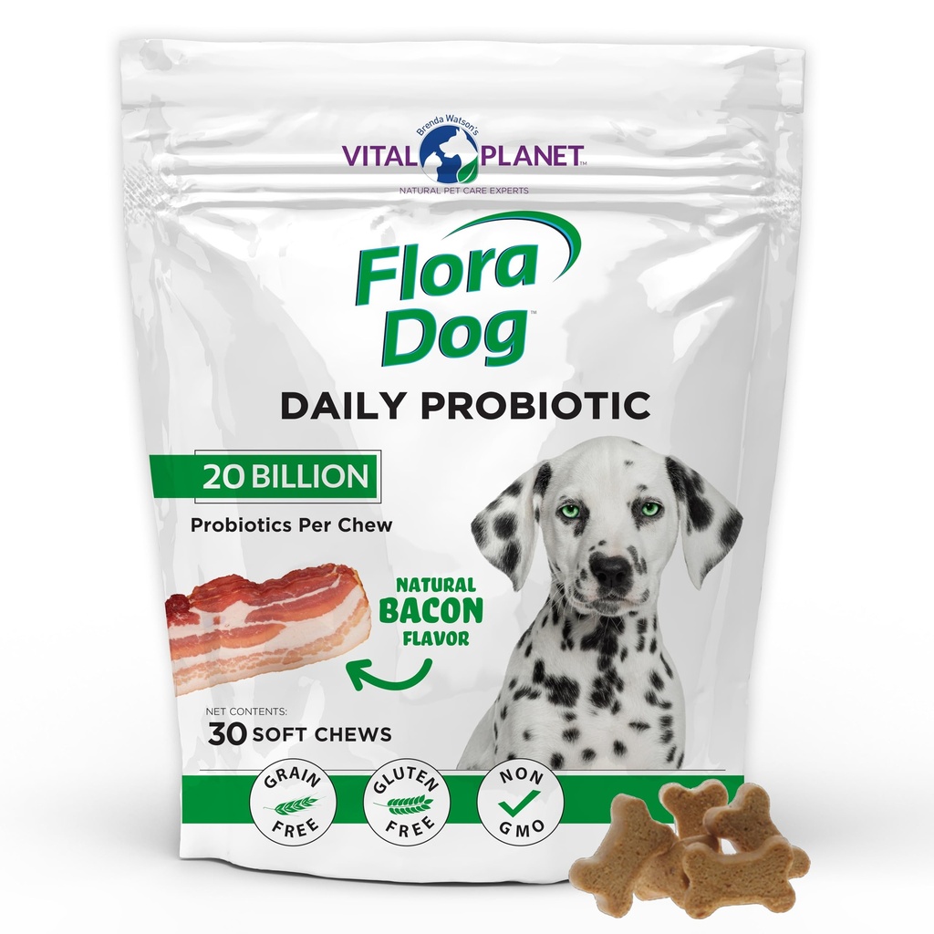 Vital Planet - Flora Dog Probiotika, Hunde Chews Supplement med 20 milliarder kulturer og 11 Strains, immun og Digestiv støtte Chewable Probiotika for hunder, 30 naturlige Bacon Flavored Soft Chews