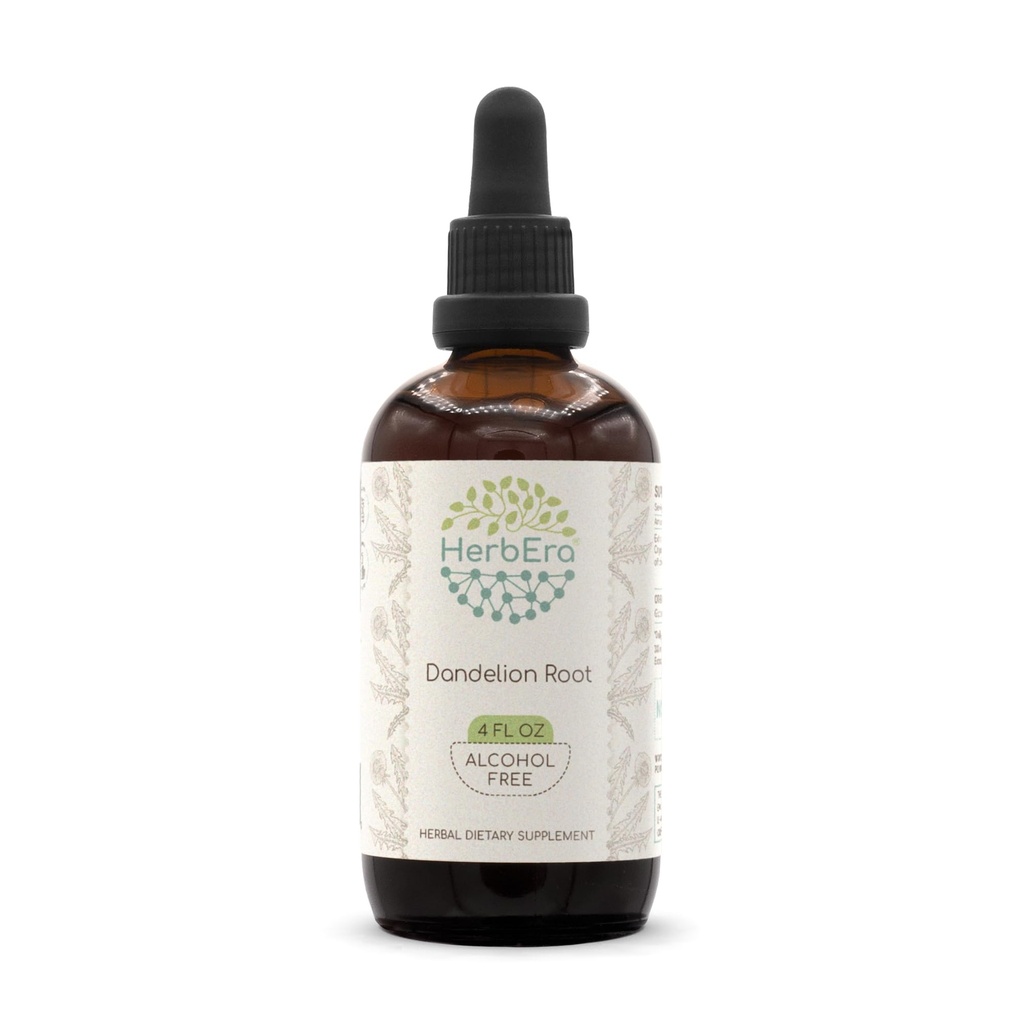 HerbEra Dandelion Root B120 alkoholfri urteekstrakt Tinktur, Super-konsentrert Dandelion (Taraxacum Officinale) Tørket rot (4 fl oz)