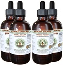 Muira Puama alkoholfri flytende ekstrakt, organisk Muira Puama (Ptychopetalum Olacoides) Glyceritt Naturlig Herbal Supplement, Hawaii Pharm, USA 4x4 oz