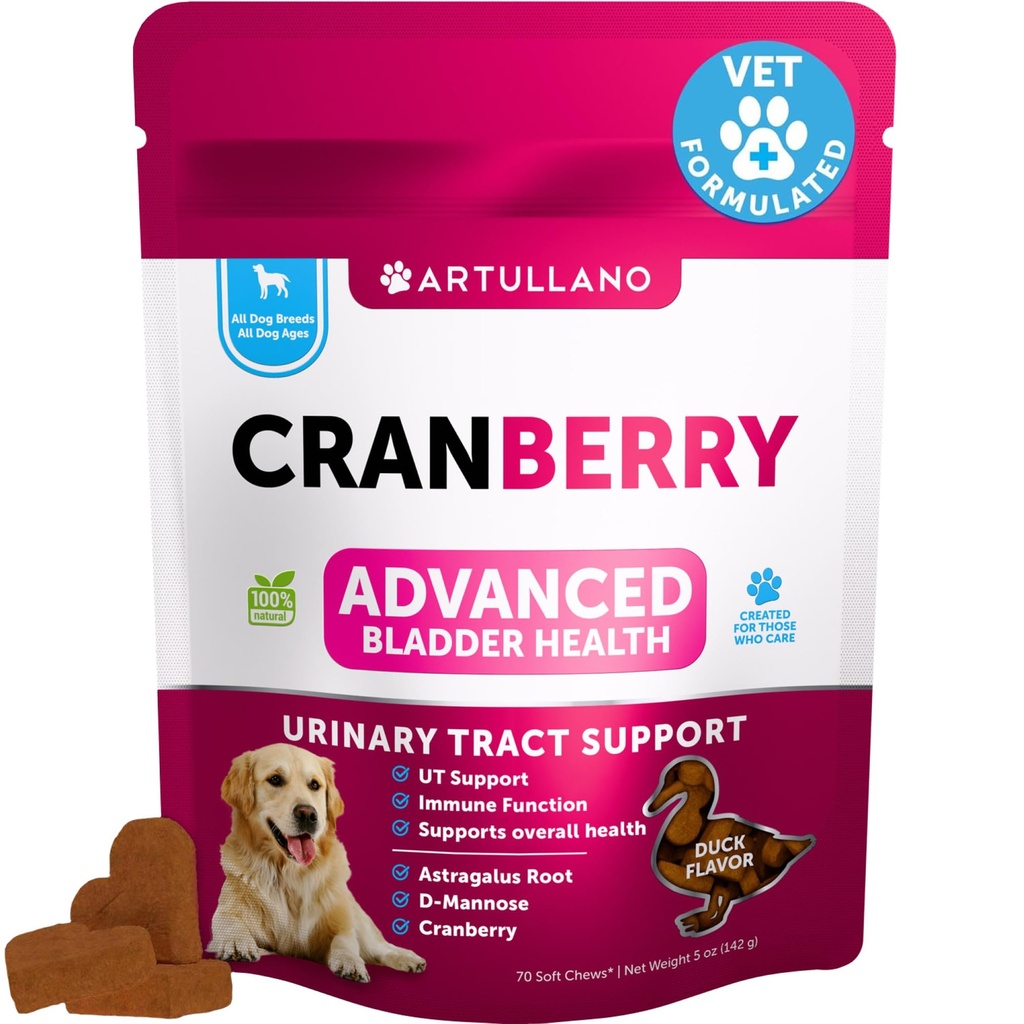 Hund UTI behandling - Cranberry Supplement & Blader Control for hunder - Urinal Tract infeksjon Inkontinens Pill, Blader Stones - UTI medisin behandlinger - 70 myk Chews for nynorsk støtte med fisk olje