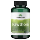 Swanson Hawthorn ekstrakt (standardisert) 250 Milligram 120 kapsler