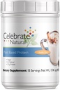 Feire Vitaminer Vegansk Protein pulver - Alt Naturlig Plant Basert Protein Shake Mix - 20g Pea Protein & 3g Fiber, for post-Bariatrisk kirurgi - Vanilla Chai (15 Serveringer)