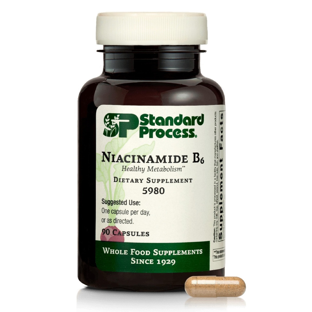 Standard prosess Niacinamide B6 - støtter energimetabolisme og nervesystem helse - Bidrar blodflyt og diadetive helse med niacin og vitamin B6 - Ikke-Dirty - 90 kapsler