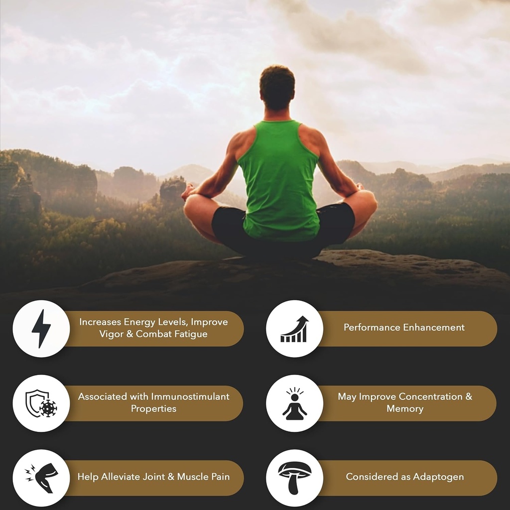Shilajit ren Himalayan Organic Resin Gel — Energiforsterkning, Digestiv helse og immunstøtte — Trace Minerals Natural Black Shilajit for menn og kvinner — rik på fulvsyre, jern, magnesium (60 gram)