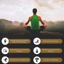 Shilajit ren Himalayan Organic Resin Gel — Energiforsterkning, Digestiv helse og immunstøtte — Trace Minerals Natural Black Shilajit for menn og kvinner — rik på fulvsyre, jern, magnesium (60 gram)