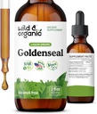 Wild & Organic Goldenseal Root Tinktur - Lung Cleanse, Immun & Digestive Support - Flytende Goldenseal Supplement - Vegan, Sukker & alkoholfri urter - 2 fl oz