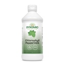 Dynamisk helse flytende klorofyll peppermynt 100 mg, natrium kobber klorofylliner med Alfalfa og Mulberry blader, plante rengjøring og deodorisering, Ingen tilsatt sukker, 16 Fl Oz