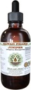 Juniper alkohol-fri flytende ekstrakt, organisk Juniper (Juniperus Monosperma) tørket Berry Glycerite Hawaii Pharm Naturlig Herbal Supplement 4 oz