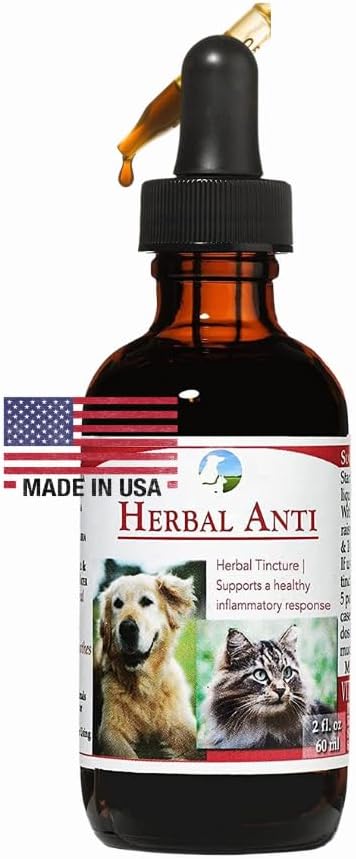 Vitalitetsvitenskap Herbal Anti For Katter og Hunder | Plant Basert | GI Tract + Colon Helse Supplement (0,5 oz)