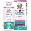 MaryRuth Organics Sea Moss med Spirulina og Chlorella Liposomal | Klorofyll | Dandelion Root | Superfood | Ultra Absorpsjon | Vegansk | Ikke-GMO | Glutenfri | 7,6 fl oz | 15 Services