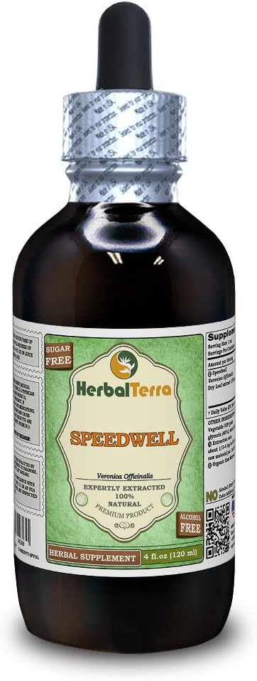 Speedwell (Veronica Officinalis) Glyceritt, organisk tørkede blader alkohol-fri flytende ekstrakt (merkenavn: HerbalTerra, stolt laget i USA) 4 fl.oz (120 ml)