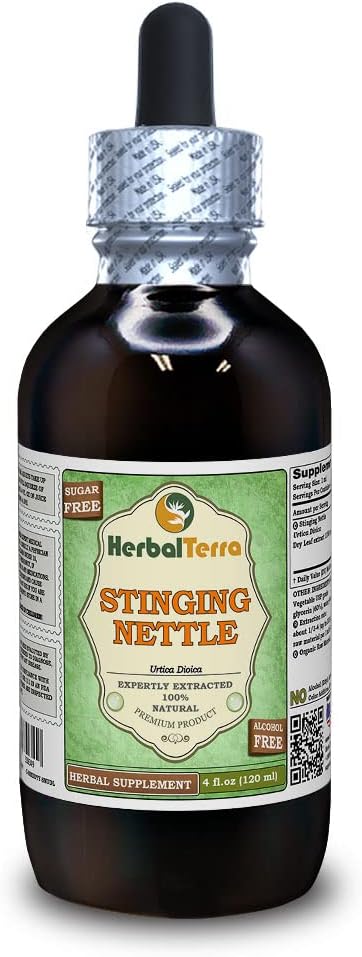 Stinging Nettle (Urtica Dioica) Glyceritt, organisk tørkede blader alkoholfri væskeekstrakt (merkenavn: HerbalTerra, stolt laget i USA) 4 fl.oz (120 ml)
