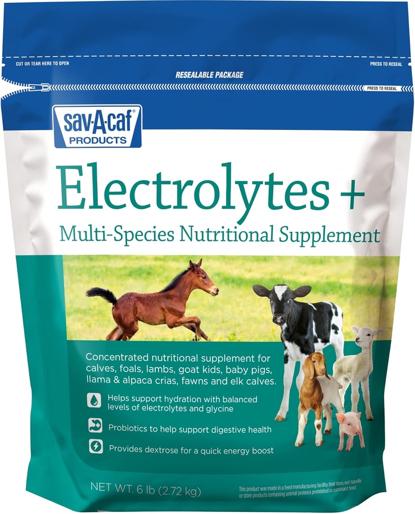 Sav-a-Caf Electrolytes Plus TM Supplement 6 pund (6 LB) Veske
