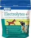 Sav-a-Caf Electrolytes Plus TM Supplement 6 pund (6 LB) Veske