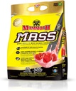 MAMMOTH Mass: Vektforsterker, høy kaloriproteinpulver Workout Smoothie Shake, Måltid erstatning, lav sukker, Whey Isolate Concentrate, Casein Protein blanding, høy protein (stråbær, 5lb)