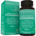Viva Naturals Pycnogenol - 100mg Fransk Maritime Pine Bark Extract - Støtter sirkulasjon, Antioksidant-like aktivitet, Joints & Immune Helse og funksjon – 60 Veggie Kapsler