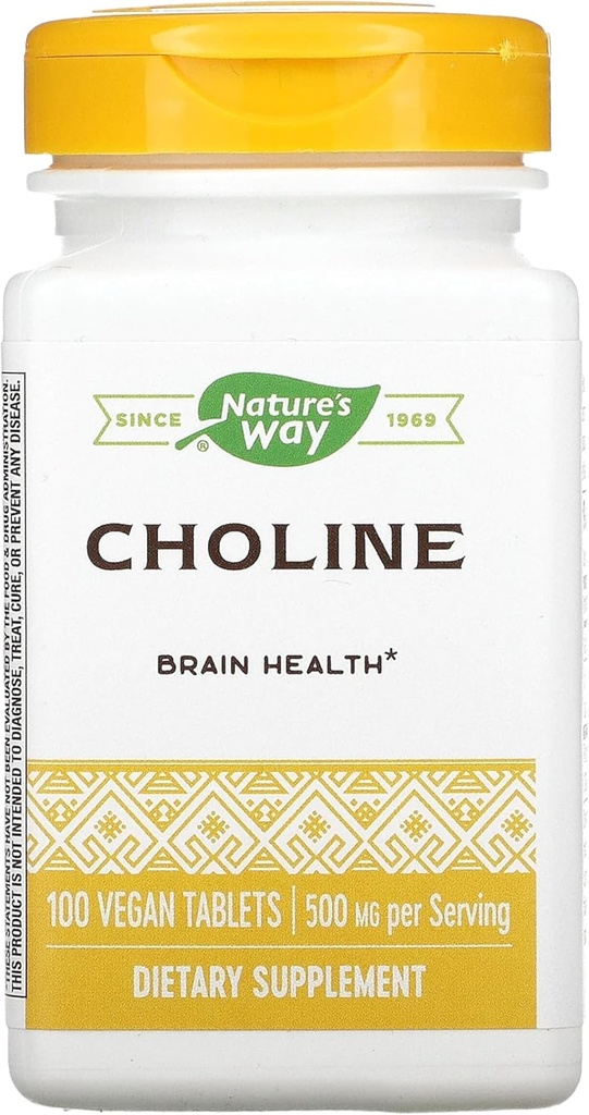 NATURER WAY 500Mg 100 Tb Choline, 100 CT