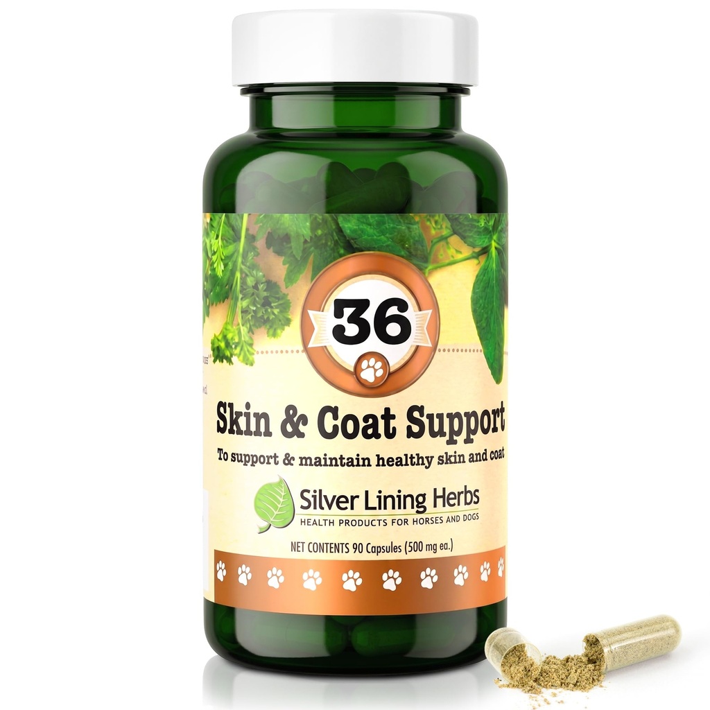 Silver lining urter 36 Canine hud og coat støtte - Naturlig herbal kosttilskudd for å styrke hunder mot miljøet - Herbal hud og Coat Supplement for hunder - 90 kapsler