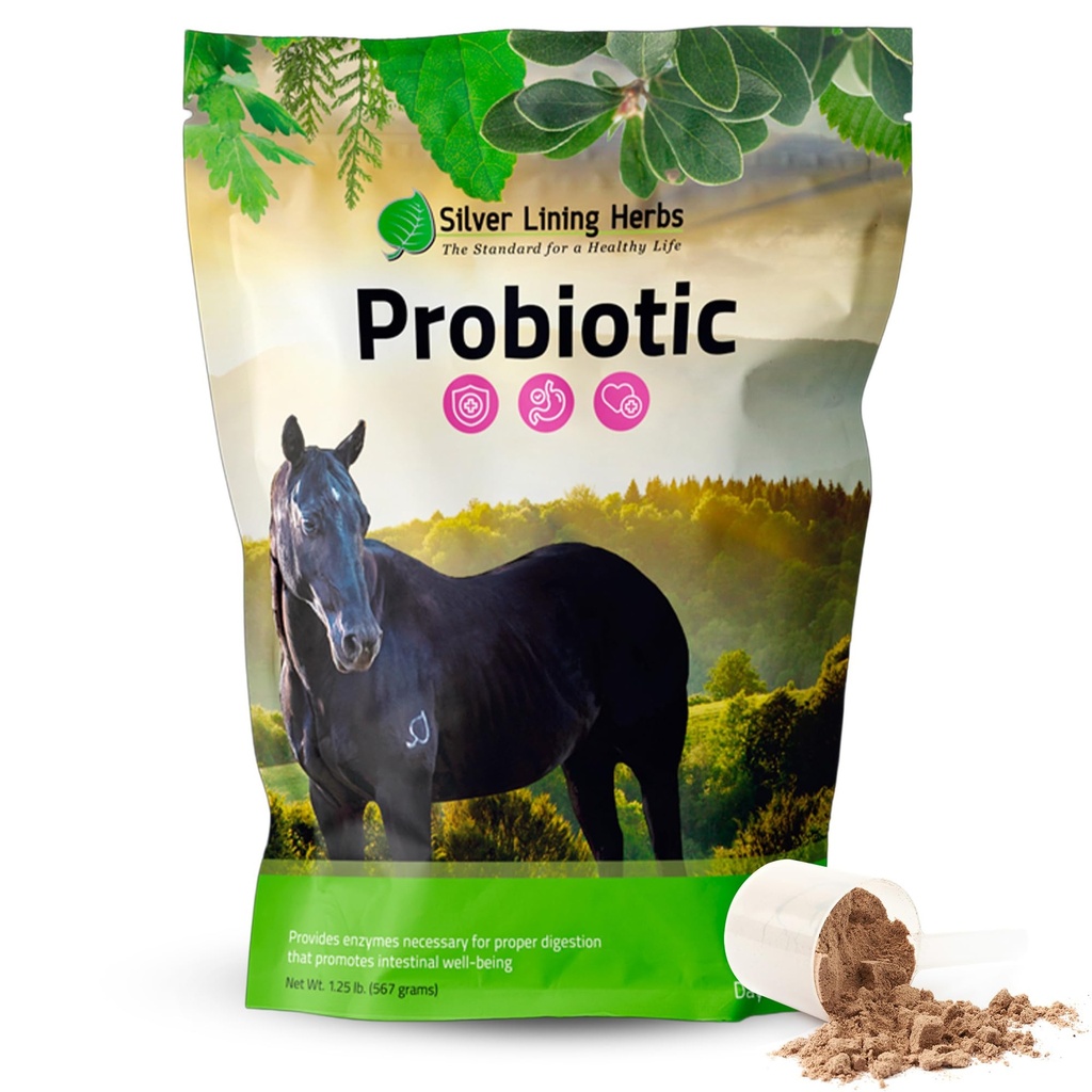 Sølv lining urter Hest Probiotika Digestive Kosttilskudd - Digestive Enzyme & Gut Helse Probiotic Supplement for hester - Inneholder 13,2 milliarder CFU Probiotic Strains - 1,25 lb 60-dagers Supply