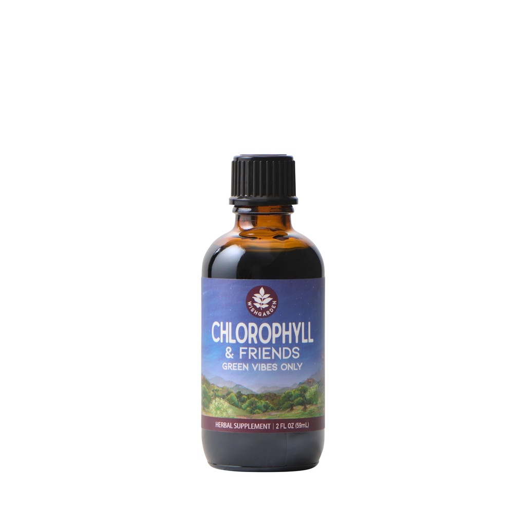 WishGarden Herbs Klorofyll & venner - Klorofyll flytende dråper med Nettle Leaf, Holy Basil, Moringa Leaf & Peppermint Leaf, støtter økt energi, sunn immunforsvar, & stressrespons, 2oz