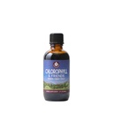 WishGarden Herbs Klorofyll & venner - Klorofyll flytende dråper med Nettle Leaf, Holy Basil, Moringa Leaf & Peppermint Leaf, støtter økt energi, sunn immunforsvar, & stressrespons, 2oz